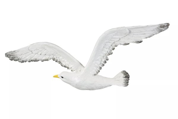 Fiskmås att sätta på väggen