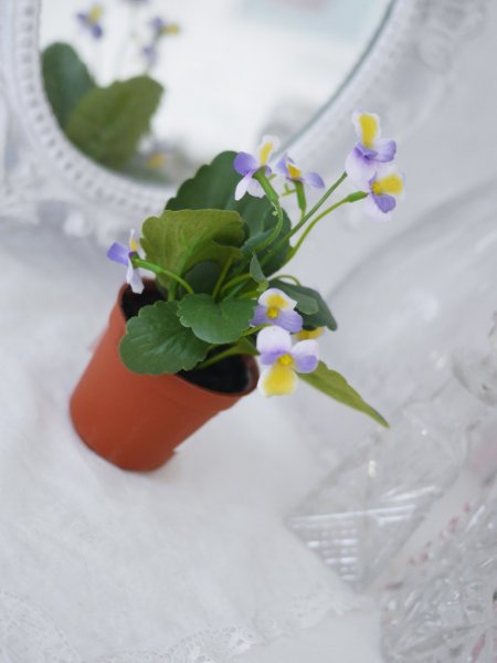 Doftviol lila blomma i kruka