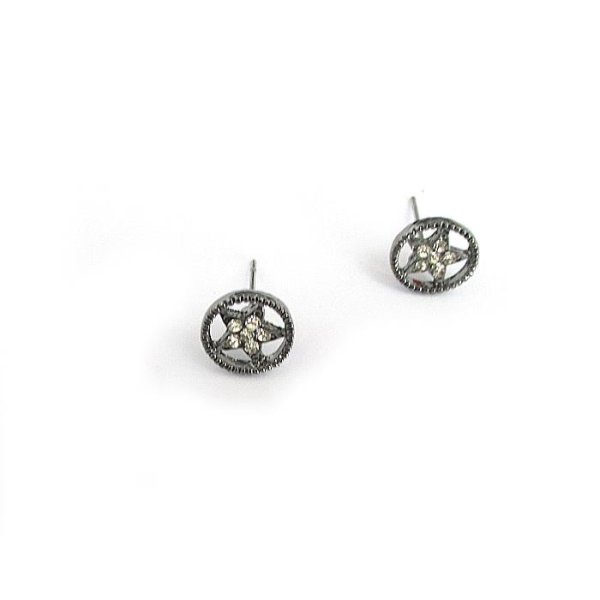 Örhängen stjärna med strass inslag