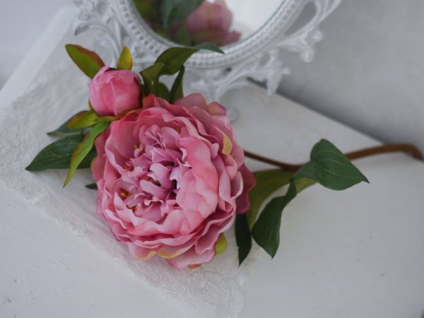 Rosa pion kvist / gren större med lång stjälk/stam