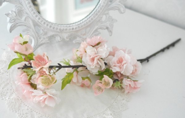 Vacker vår fin större gren av körsbärsblom i en vacker rosa nyans med många utslagna blommor, knoppar och blad. En välarbetad ve