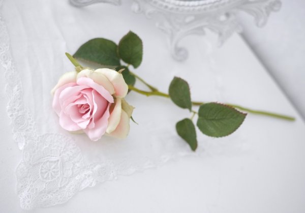 Vacker verklighetstrogen konstblomma ros med skaft och blad. I en romantisk rosa nyans. Att dekorera med ensam eller tillsammans