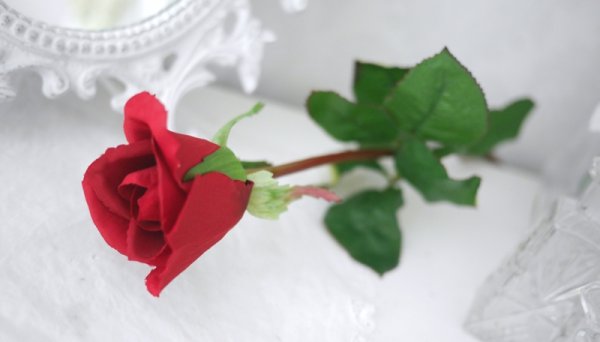 Vacker röd verklighetstrogen konstblomma ros i outslagen knoppig modell med skaft och blad. Att dekorera med ensam eller tillsa