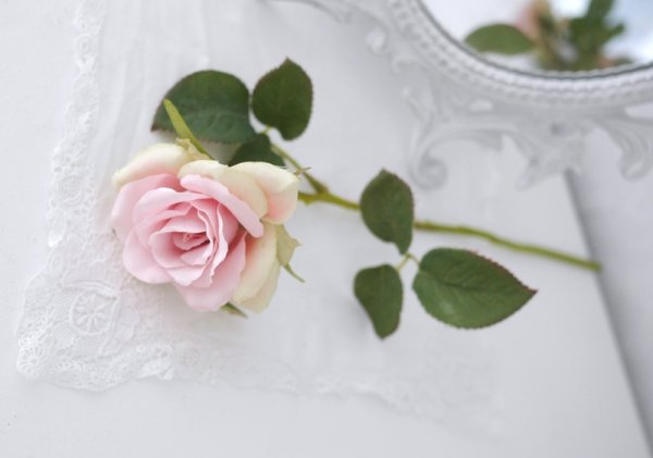 Vacker verklighetstrogen konstblomma ros med skaft och blad. I en romantisk rosa nyans. Att dekorera med ensam eller tillsammans