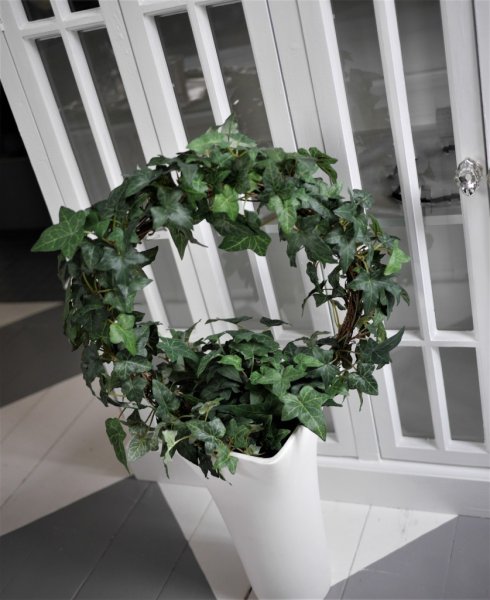 Stor grön murgröna båge i kruka