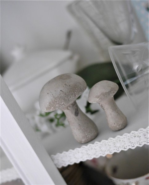 Gråa betong svampar att dekorera med
