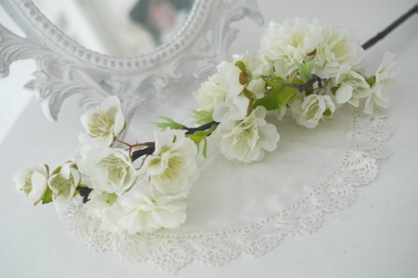 Vacker vår fin större gren av äppelblom i en vacker vit nyans med många utslagna blommor, knoppar och blad. En välarbetad verkli