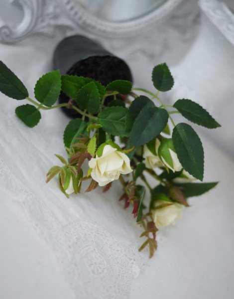 Liten buskros i kruka vit och rosa